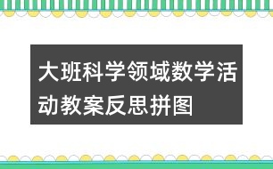 大班科學領域數(shù)學活動教案反思拼圖