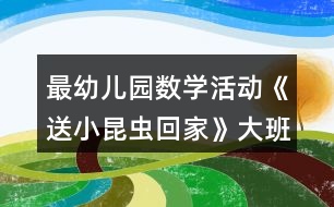 最幼兒園數(shù)學(xué)活動《送小昆蟲回家》大班教案反思