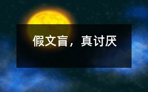 假文盲，真討厭