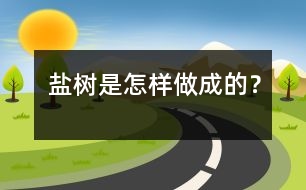 鹽樹是怎樣做成的？