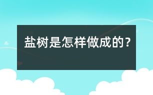 鹽樹是怎樣做成的？