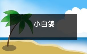 小白鴿