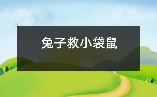 兔子救小袋鼠