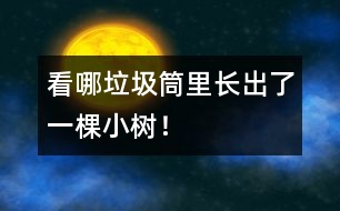 看哪垃圾筒里長(zhǎng)出了一棵小樹！