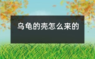 烏龜?shù)臍ぴ趺磥淼?></p>										
													 烏龜?shù)臍ぴ趺磥淼?/p>           江蘇省南京 力學(xué)小學(xué)一（四）班 李盛楠</p>          </p>                  從前，地球上只有一只烏龜，它沒有殼。<br>    有一天，它遇見了一只老虎，老虎想吃掉烏龜，烏龜?shù)纛^就跑，可是已經(jīng)晚了。老虎追上來剛要抓住它，烏龜急忙躲進一個殼里，老虎抓住那個殼，咬也咬不動，老虎只能垂頭喪氣地走了?？墒牵瑸觚斚氤鰜硪渤霾粊砹?，過了很久，烏龜?shù)臍ぷ冃瘟?。后來，它生的孩子也成這模樣了。<br>    從此以后，烏龜有了一個保護殼。						</div>
						</div>
					</div>
					<div   id=