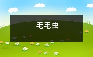 毛毛蟲(chóng)