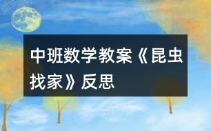 中班數學教案《昆蟲找家》反思