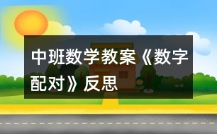 中班數(shù)學(xué)教案《數(shù)字配對》反思