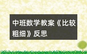 中班數(shù)學教案《比較粗細》反思