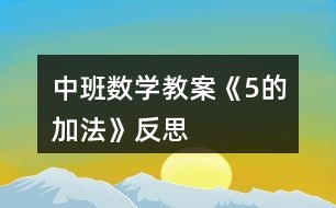 中班數(shù)學(xué)教案《5的加法》反思