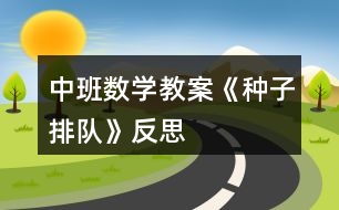 中班數(shù)學(xué)教案《種子排隊》反思