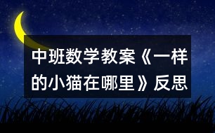 中班數學教案《一樣的小貓在哪里》反思