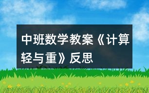 中班數(shù)學(xué)教案《計算輕與重》反思