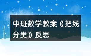 中班數學教案《把線分類》反思