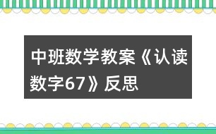 中班數(shù)學(xué)教案《認(rèn)讀數(shù)字6、7》反思