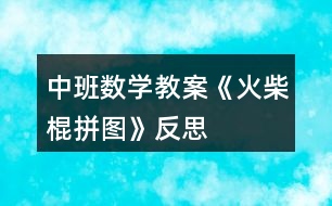 中班數(shù)學(xué)教案《火柴棍拼圖》反思