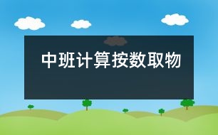 中班計(jì)算：按數(shù)取物