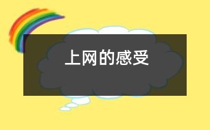 上網(wǎng)的感受