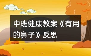 中班健康教案《有用的鼻子》反思