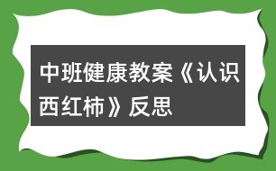 中班健康教案《認識西紅柿》反思