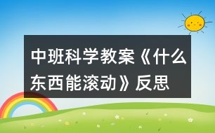 中班科學教案《什么東西能滾動》反思