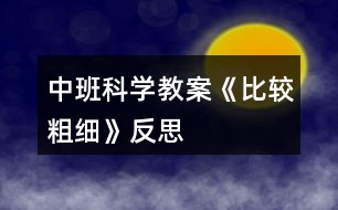 中班科學教案《比較粗細》反思