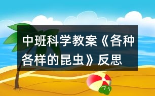 中班科學(xué)教案《各種各樣的昆蟲》反思