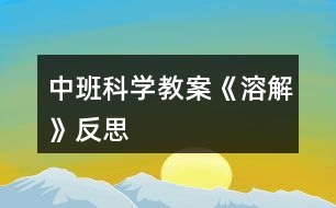 中班科學教案《溶解》反思