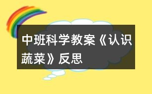 中班科學(xué)教案《認(rèn)識(shí)蔬菜》反思