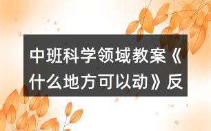 中班科學領域教案《什么地方可以動》反思