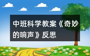 中班科學(xué)教案《奇妙的響聲》反思