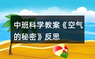 中班科學教案《空氣的秘密》反思