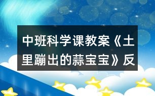 中班科學課教案《土里蹦出的蒜寶寶》反思