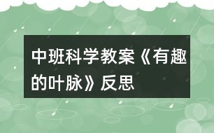 中班科學(xué)教案《有趣的葉脈》反思