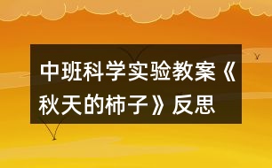 中班科學(xué)實(shí)驗(yàn)教案《秋天的柿子》反思