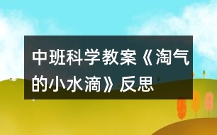 中班科學教案《淘氣的小水滴》反思