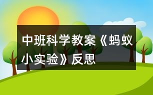 中班科學教案《螞蟻小實驗》反思