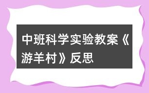 中班科學(xué)實(shí)驗(yàn)教案《游羊村》反思