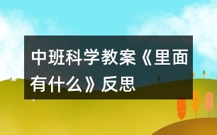 中班科學(xué)教案《里面有什么》反思