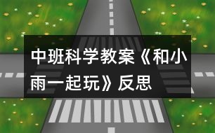 中班科學(xué)教案《和小雨一起玩》反思