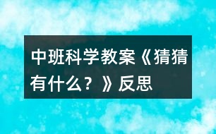 中班科學教案《猜猜有什么？》反思