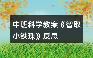 中班科學教案《智取小鐵珠》反思