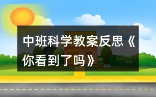 中班科學教案反思《你看到了嗎》