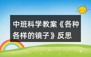 中班科學教案《各種各樣的鏡子》反思