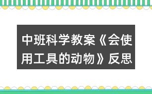 中班科學(xué)教案《會使用工具的動物》反思