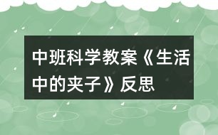 中班科學(xué)教案《生活中的夾子》反思