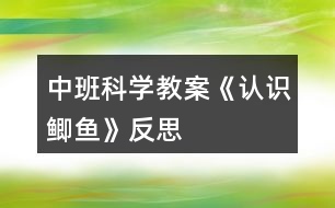 中班科學(xué)教案《認識鯽魚》反思