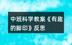 中班科學(xué)教案《有趣的腳印》反思