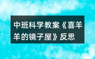 中班科學(xué)教案《喜羊羊的鏡子屋》反思