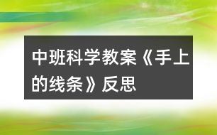 中班科學教案《手上的線條》反思